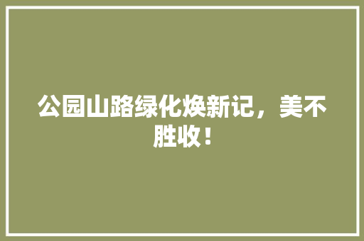 公园山路绿化焕新记，美不胜收！ 育苗设备
