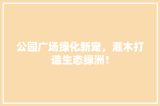 公园广场绿化新宠，灌木打造生态绿洲！