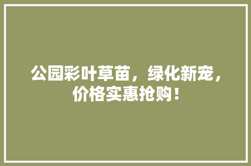 公园彩叶草苗，绿化新宠，价格实惠抢购！ 花卉育苗