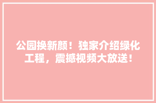 公园换新颜！独家介绍绿化工程，震撼视频大放送！