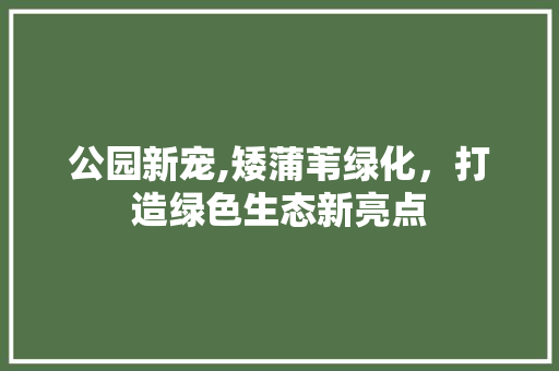 公园新宠,矮蒲苇绿化，打造绿色生态新亮点 无土育苗