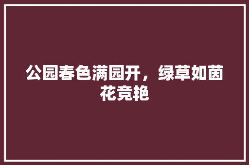 公园春色满园开，绿草如茵花竞艳