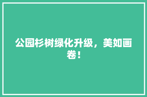 公园杉树绿化升级，美如画卷！