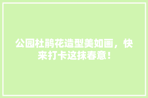 公园杜鹃花造型美如画，快来打卡这抹春意！