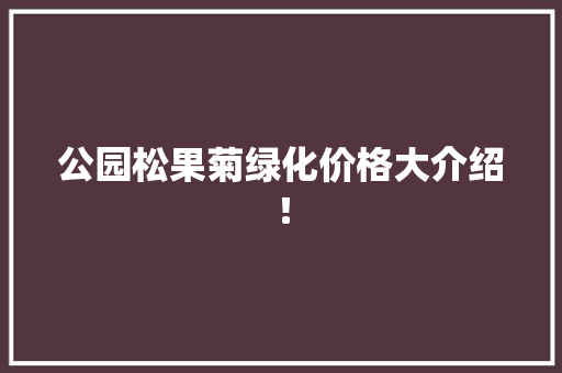 公园松果菊绿化价格大介绍！