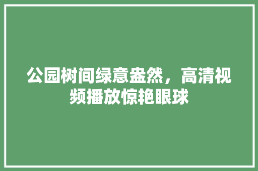 公园树间绿意盎然，高清视频播放惊艳眼球