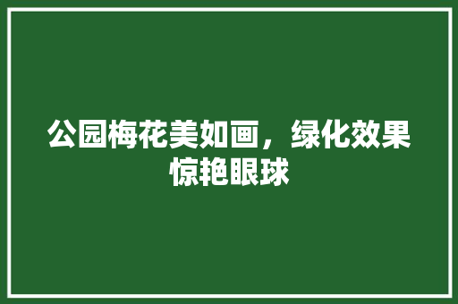 公园梅花美如画，绿化效果惊艳眼球