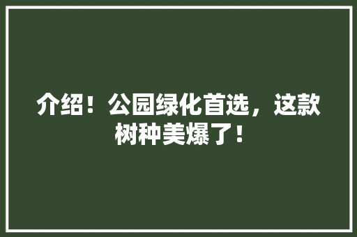 介绍！公园绿化首选，这款树种美爆了！