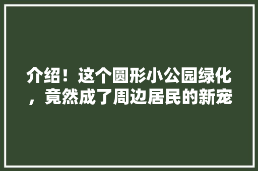 介绍！这个圆形小公园绿化，竟然成了周边居民的新宠！