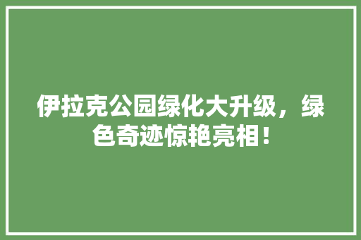 伊拉克公园绿化大升级，绿色奇迹惊艳亮相！