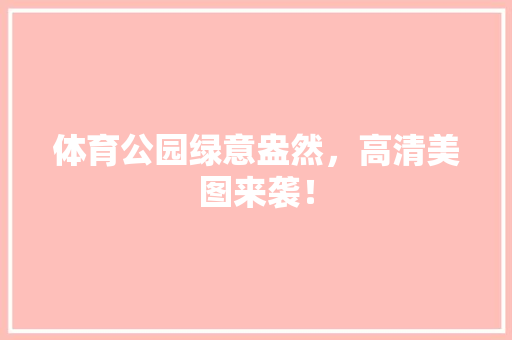 体育公园绿意盎然，高清美图来袭！