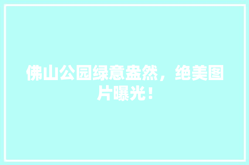 佛山公园绿意盎然，绝美图片曝光！