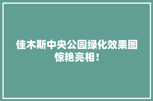 佳木斯中央公园绿化效果图惊艳亮相！