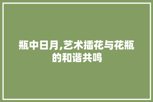 瓶中日月,艺术插花与花瓶的和谐共鸣