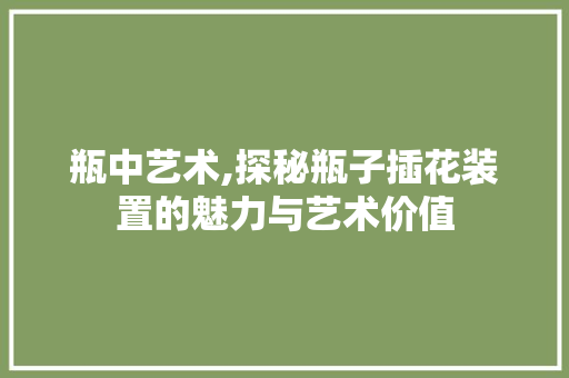 瓶中艺术,探秘瓶子插花装置的魅力与艺术价值