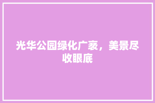 光华公园绿化广袤，美景尽收眼底