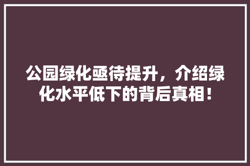 公园绿化亟待提升，介绍绿化水平低下的背后真相！