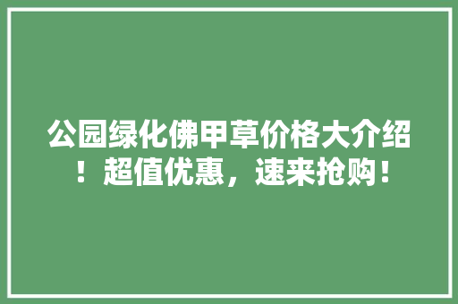 公园绿化佛甲草价格大介绍！超值优惠，速来抢购！