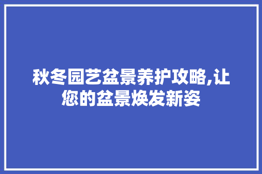 秋冬园艺盆景养护攻略,让您的盆景焕发新姿 无土育苗