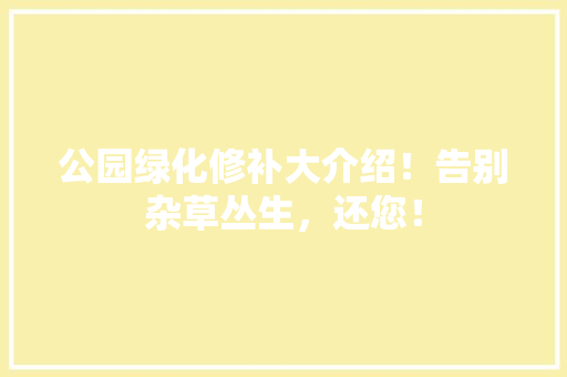 公园绿化修补大介绍！告别杂草丛生，还您！