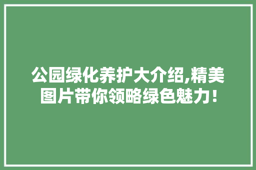 公园绿化养护大介绍,精美图片带你领略绿色魅力！