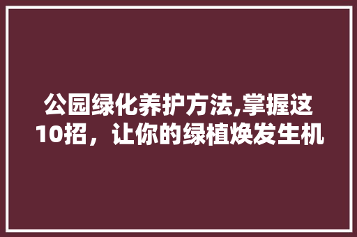 公园绿化养护方法,掌握这10招，让你的绿植焕发生机！