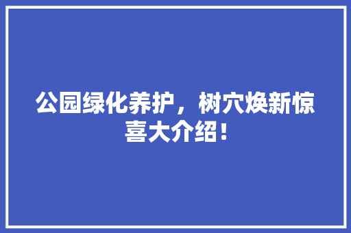 公园绿化养护，树穴焕新惊喜大介绍！