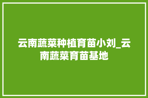 云南蔬菜种植育苗小刘_云南蔬菜育苗基地
