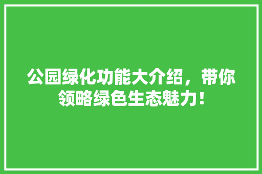 公园绿化功能大介绍，带你领略绿色生态魅力！