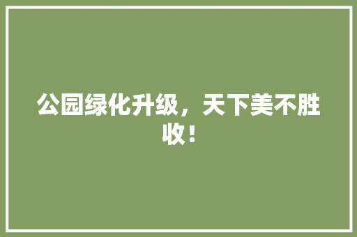 公园绿化升级，天下美不胜收！
