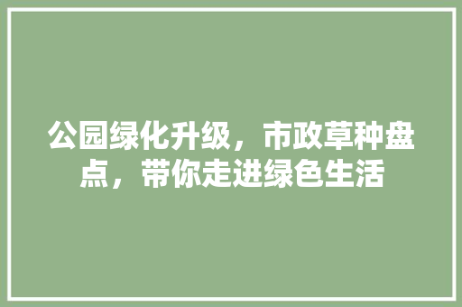 公园绿化升级，市政草种盘点，带你走进绿色生活