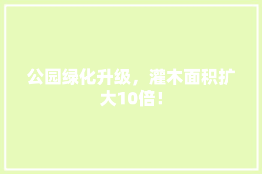 公园绿化升级，灌木面积扩大10倍！ 林木育苗