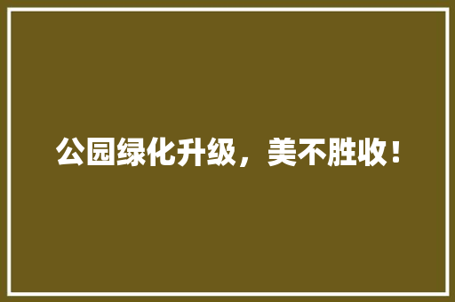公园绿化升级，美不胜收！