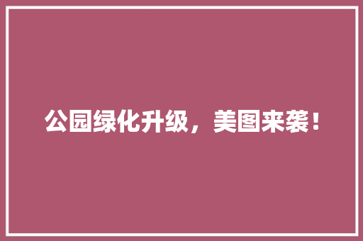 公园绿化升级，美图来袭！