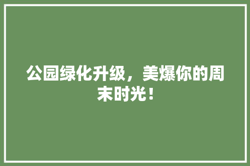 公园绿化升级，美爆你的周末时光！