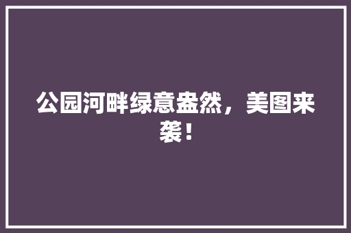 公园河畔绿意盎然，美图来袭！