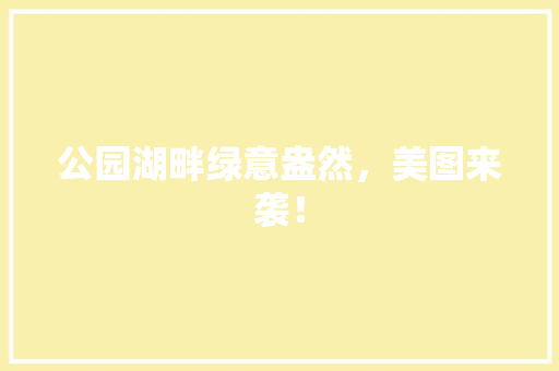 公园湖畔绿意盎然，美图来袭！