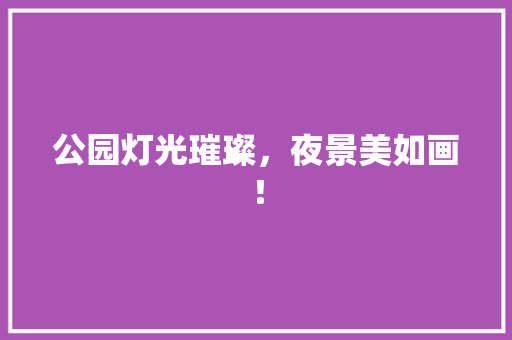 公园灯光璀璨，夜景美如画！