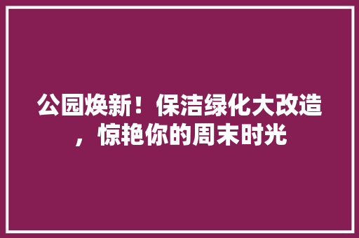 公园焕新！保洁绿化大改造，惊艳你的周末时光