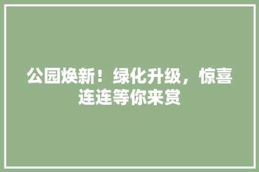 公园焕新！绿化升级，惊喜连连等你来赏