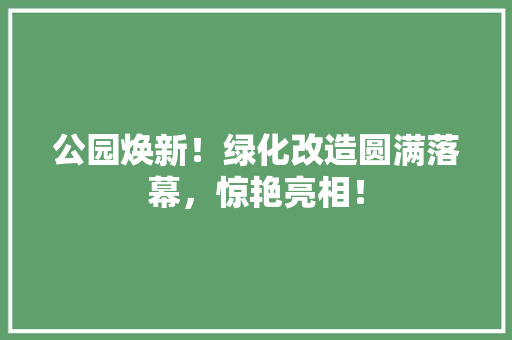 公园焕新！绿化改造圆满落幕，惊艳亮相！ 无土育苗