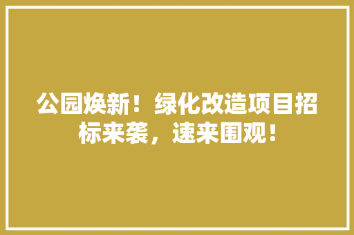 公园焕新！绿化改造项目招标来袭，速来围观！