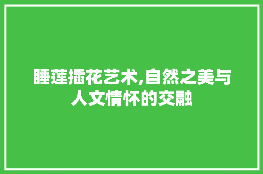 睡莲插花艺术,自然之美与人文情怀的交融