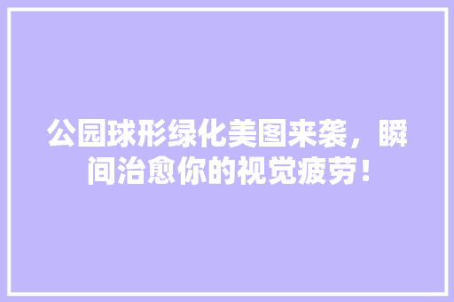 公园球形绿化美图来袭，瞬间治愈你的视觉疲劳！