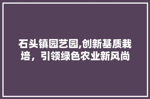 石头镇园艺园,创新基质栽培，引领绿色农业新风尚 无土育苗