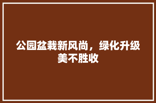 公园盆栽新风尚，绿化升级美不胜收