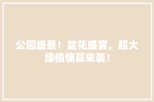 公园盛景！盆花盛宴，超大绿植惊喜来袭！