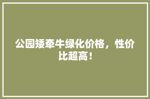 公园矮牵牛绿化价格，性价比超高！