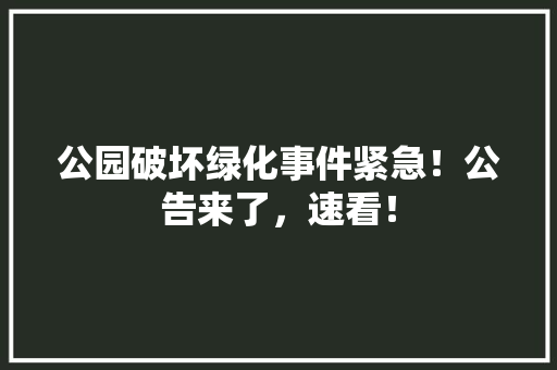 公园破坏绿化事件紧急！公告来了，速看！ 蔬菜育苗