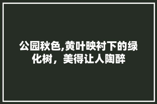 公园秋色,黄叶映衬下的绿化树，美得让人陶醉 育苗设备